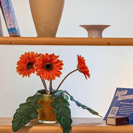 Zoll Сasa de vacaciones *