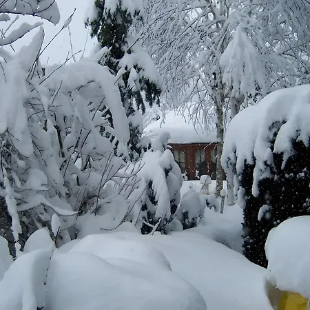 Сasa de vacaciones Zoll